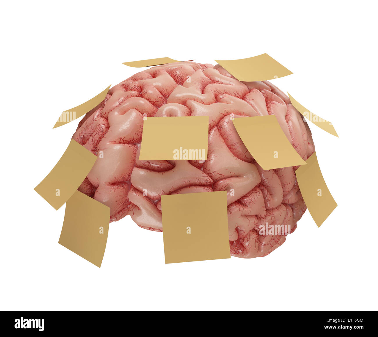 Cervello umano con giallo note adesive. Concetto di buona o cattiva memoria. Percorso di clipping incluso. Foto Stock