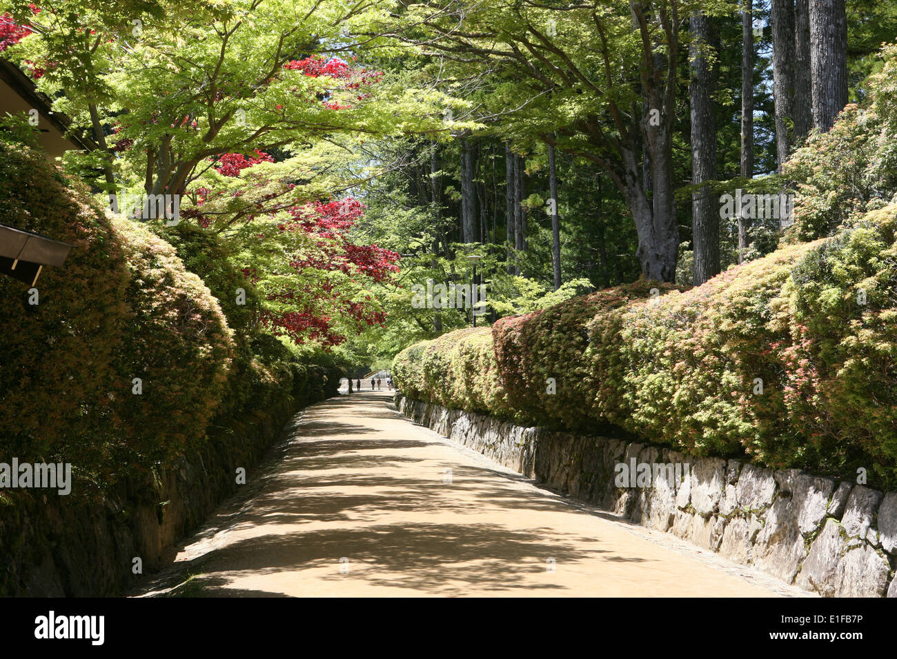 Parte della IAM Garan complesso Koyasan in Giappone Foto Stock
