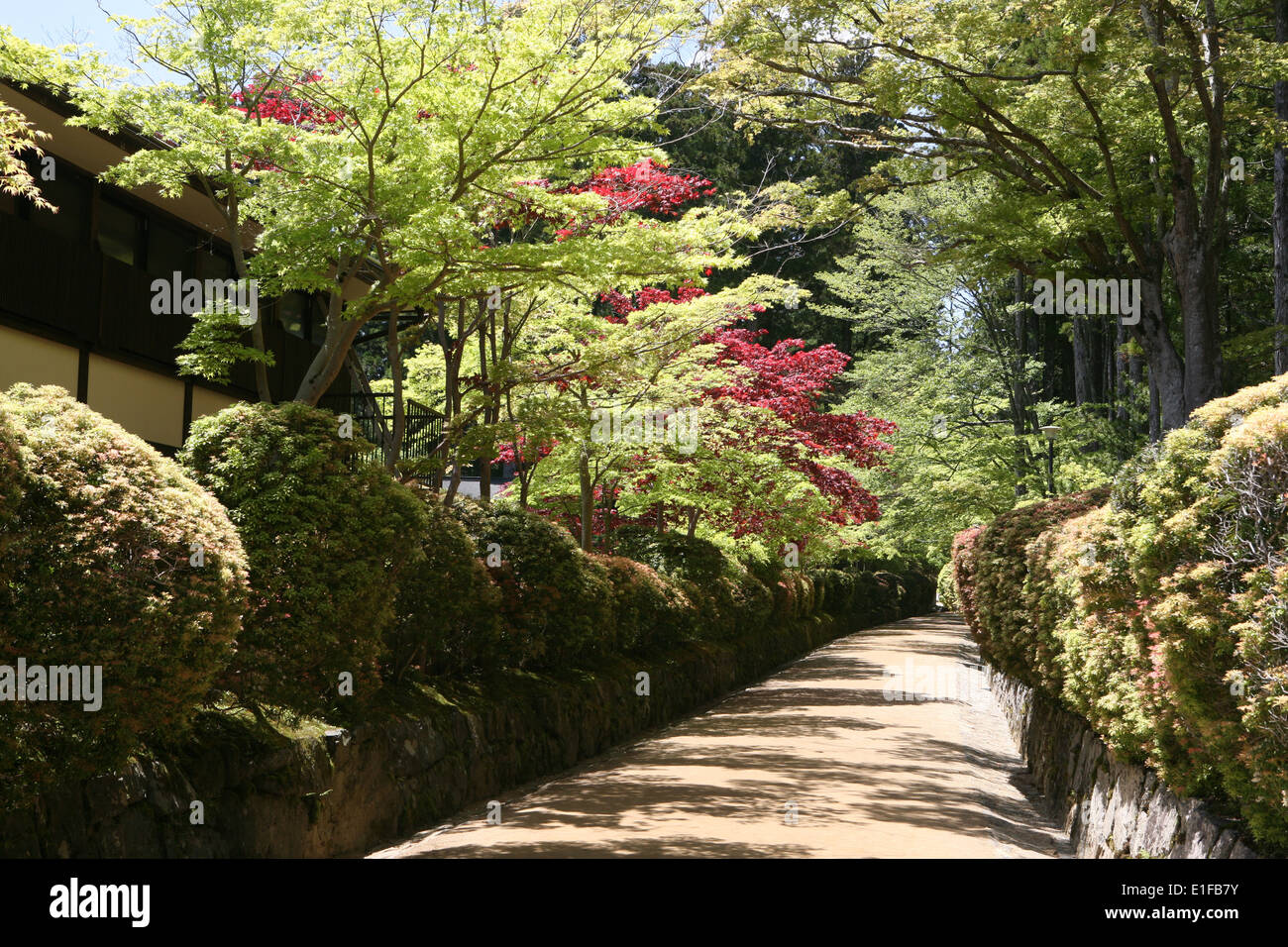 Parte della IAM Garan complesso Koyasan in Giappone Foto Stock