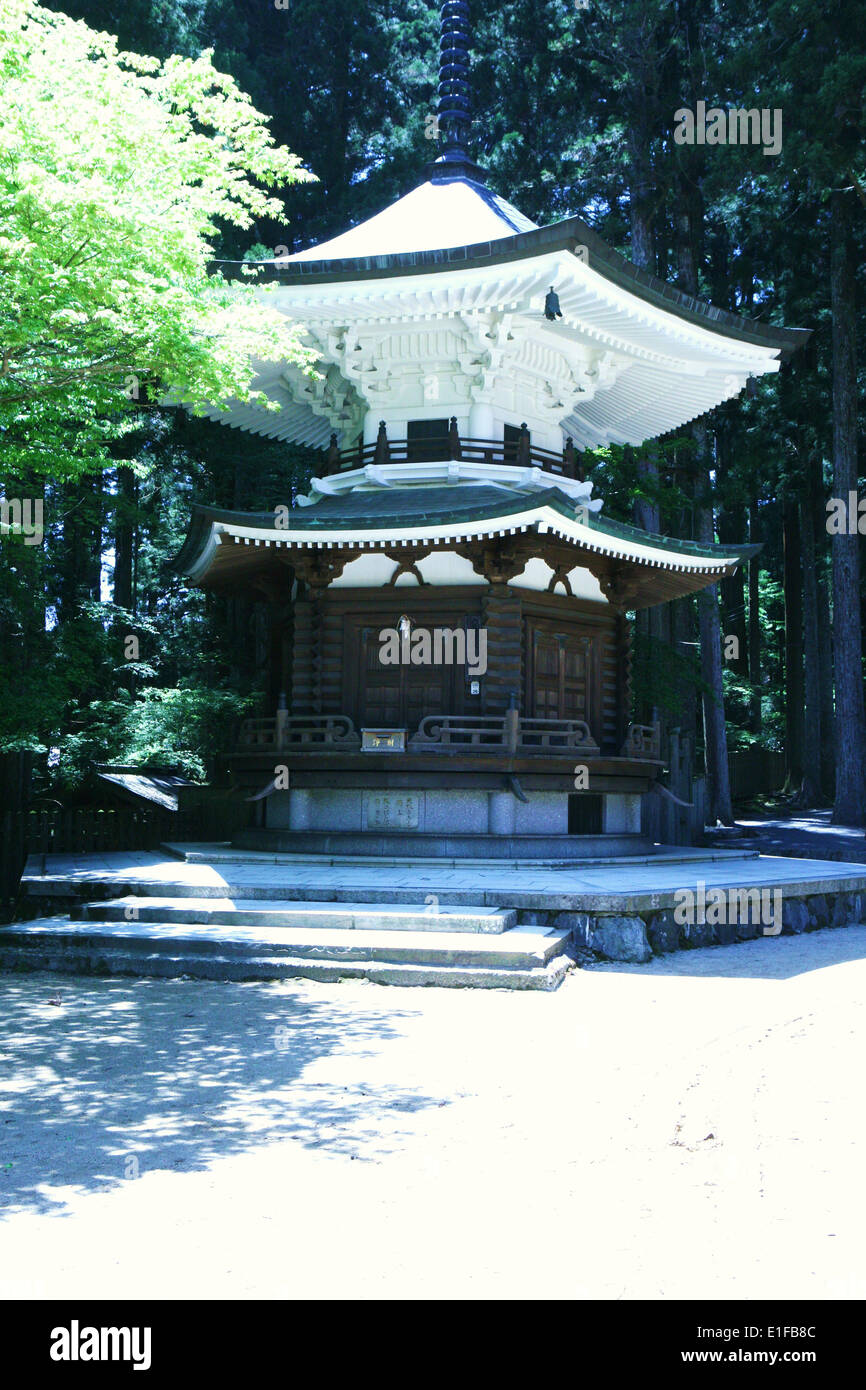Parte della IAM Garan complesso Koyasan in Giappone Foto Stock