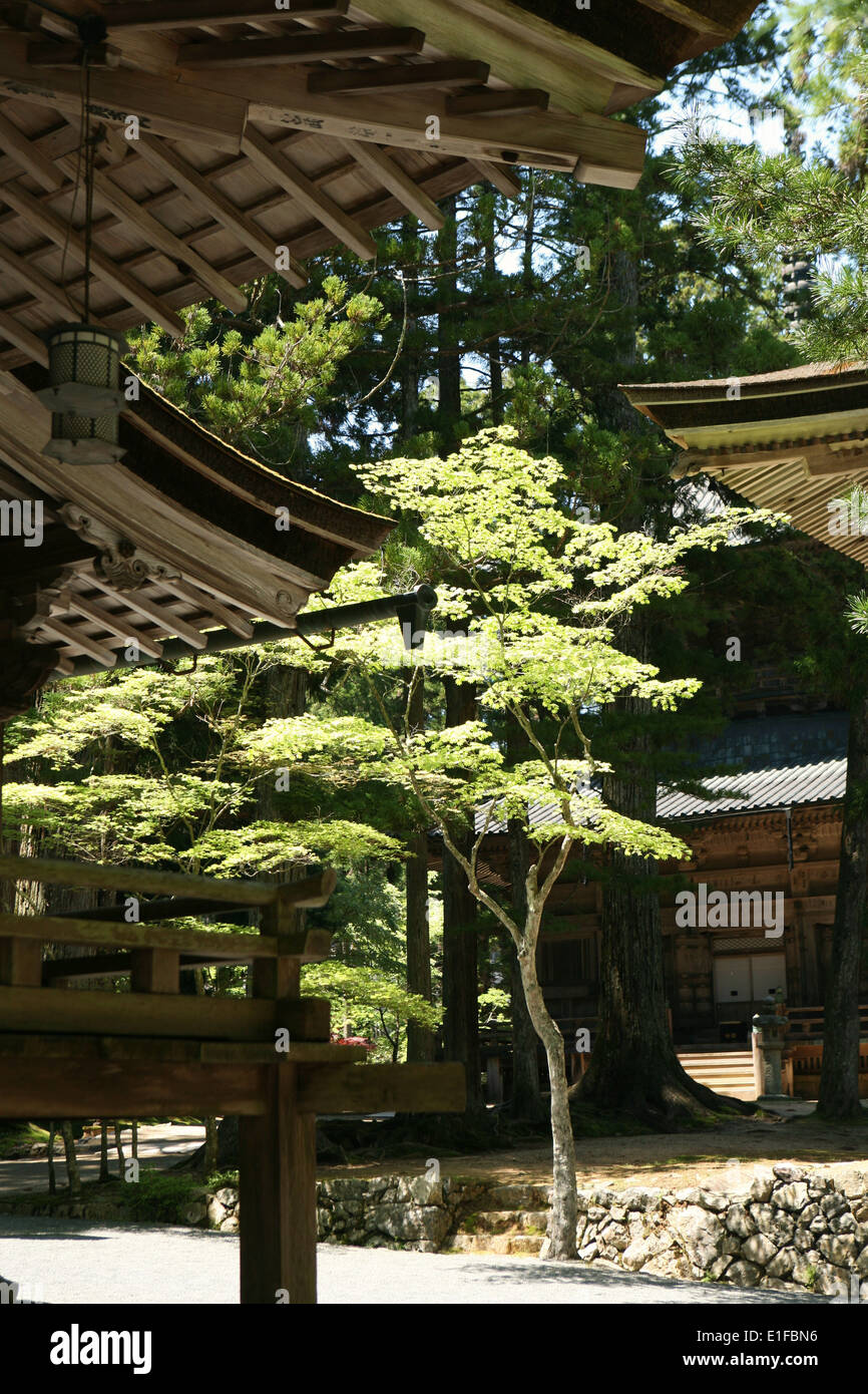 Parte della IAM Garan complesso Koyasan in Giappone Foto Stock