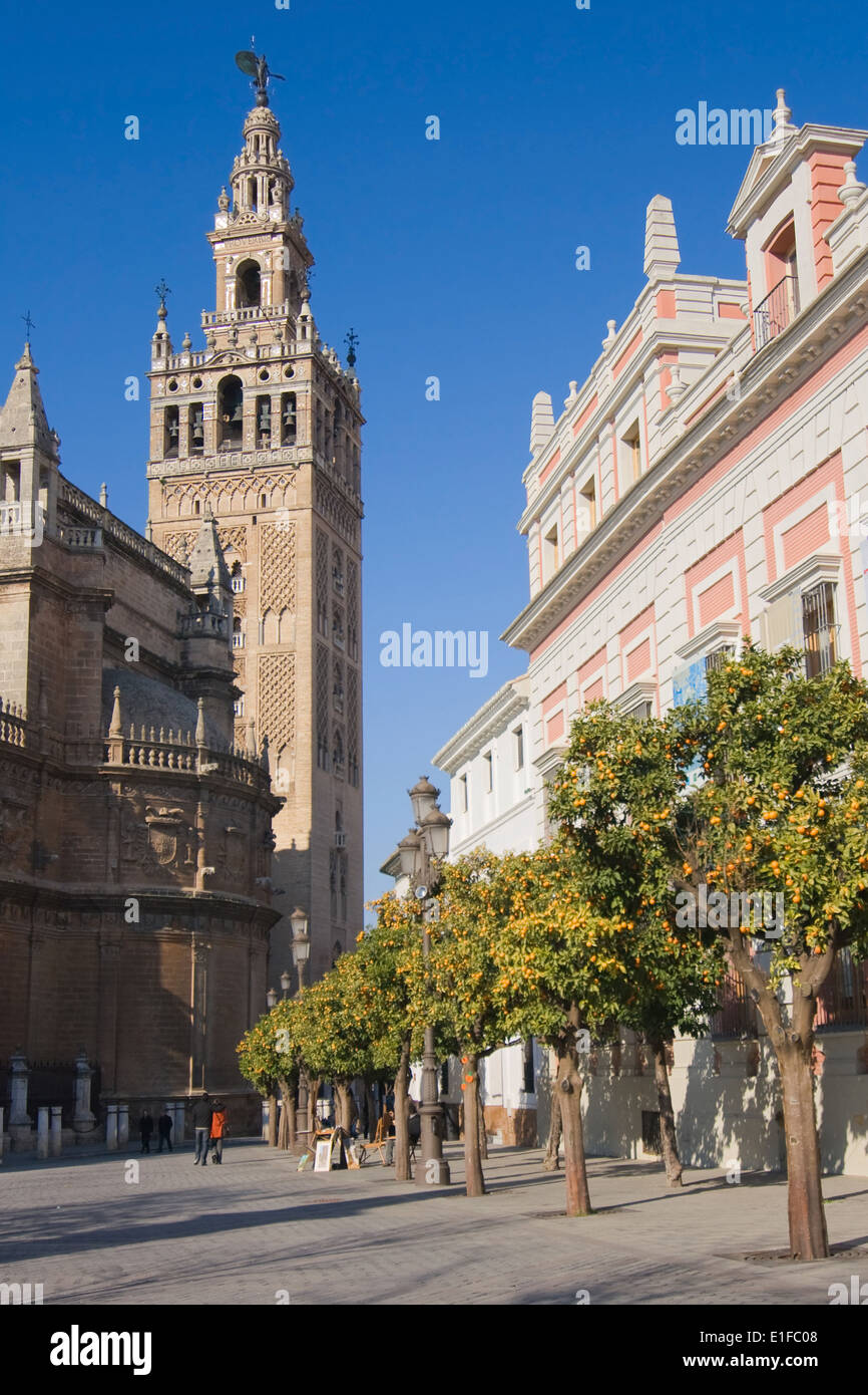 La Giralda, un ex minareto che è stato convertito in una torre campanaria per la Cattedrale di Siviglia, Spagna. Foto Stock