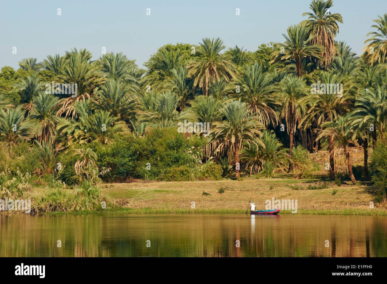 Egitto Crociera sul fiume Nilo tra Luxor e Aswan, Fisher Foto Stock