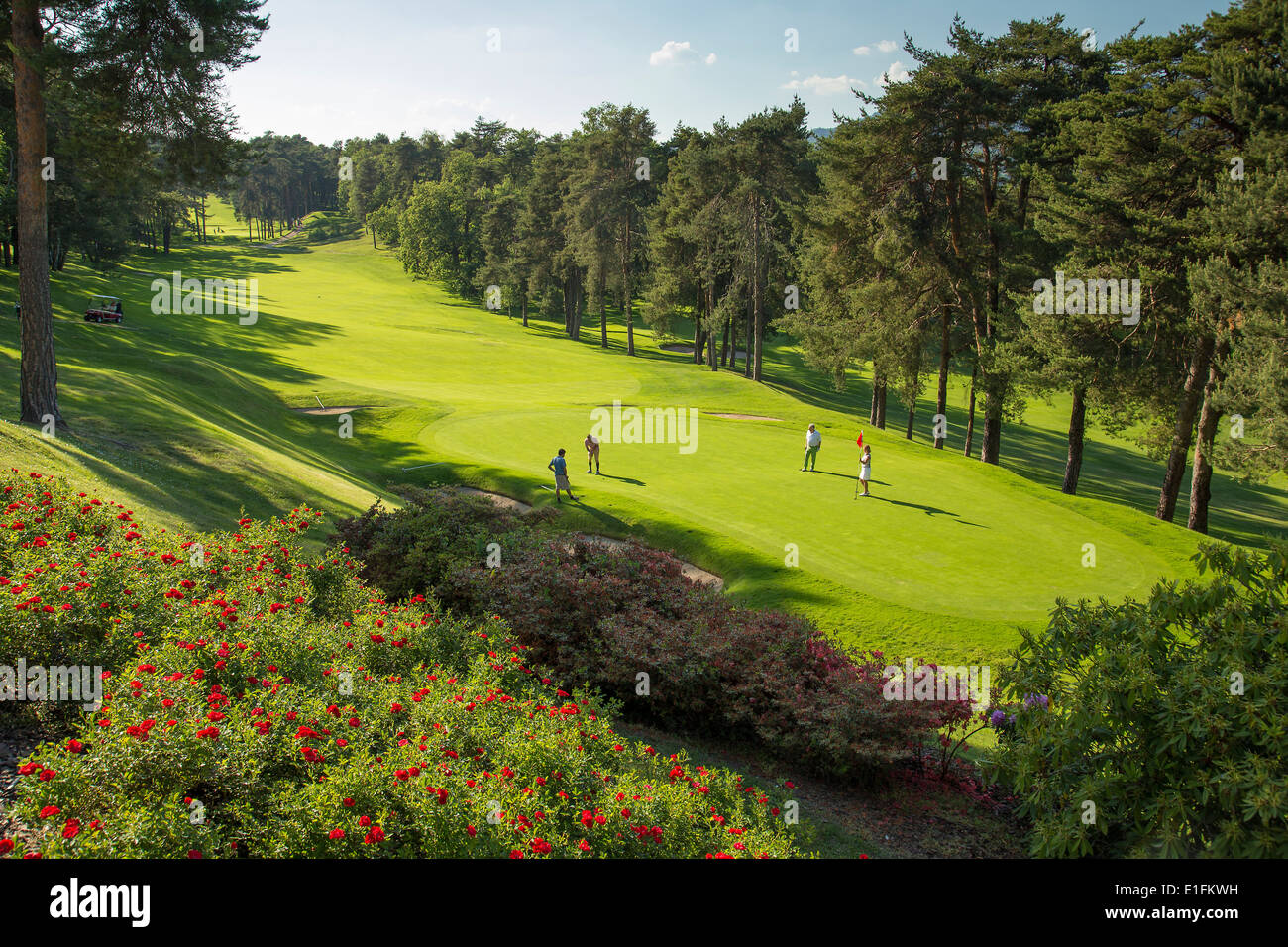 Campo da golf illuminato al sole di Villa d'Este, Italia. Foto Stock