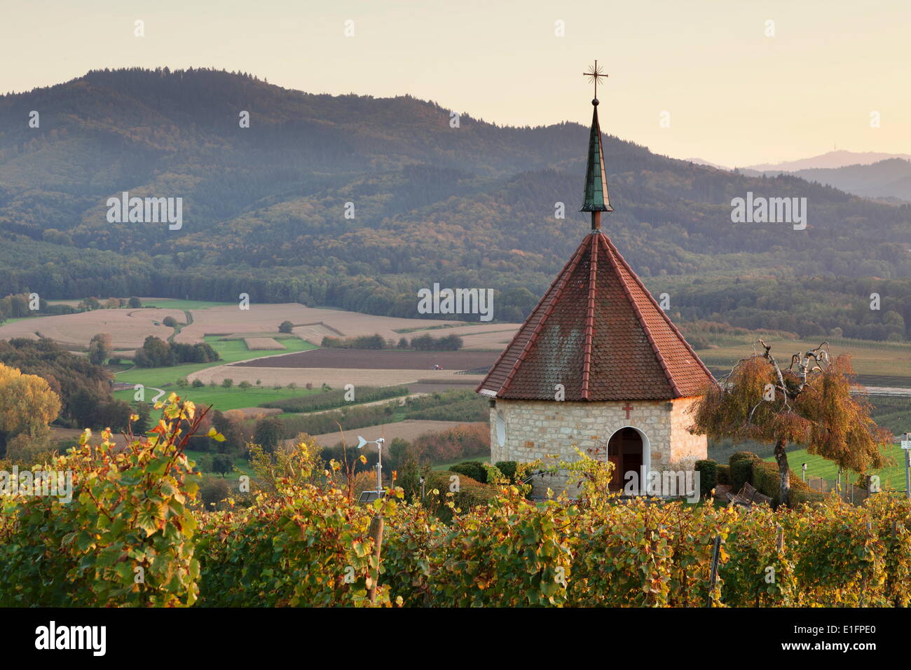 Cappella Olbergkapelle, Ehrenstetten, Staufen im Breisgau, Markgrafler Land, Foresta Nera, Baden Wurttemberg, Germania, Europa Foto Stock