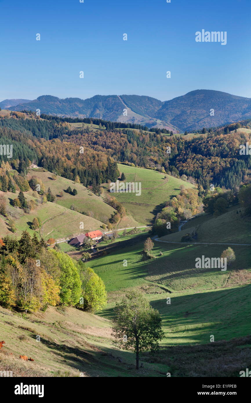 Valle del Wiesental, Foresta Nera, Baden Wurttemberg, Germania, Europa Foto Stock