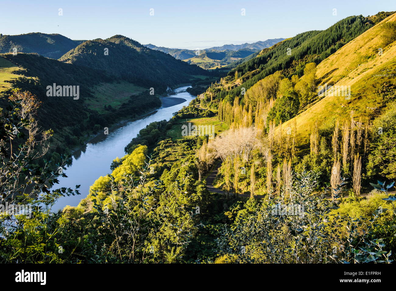 Vista sul Fiume Whanganui nella verde e lussureggiante campagna, Whanganui River Road, North Island, Nuova Zelanda, Pacific Foto Stock