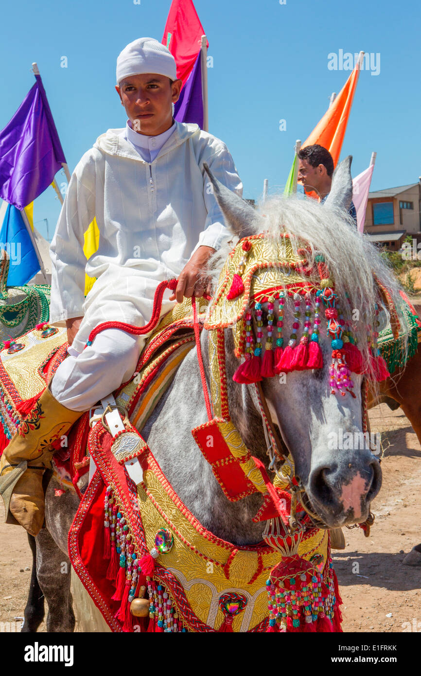 Dettaglio di decorata tradizionalmente Arabian Barb cavalli effettuando in corrispondenza di una fantasia vicino a Rabat in Marocco. Foto Stock