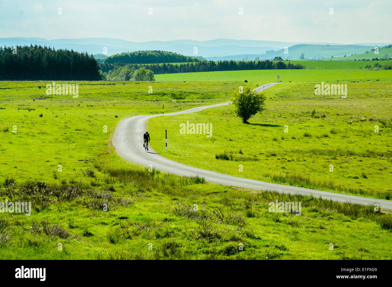 Ciclista su strada solitaria sul Tarn Moor vicino a Orton in alto Lune valley Cumbria Foto Stock