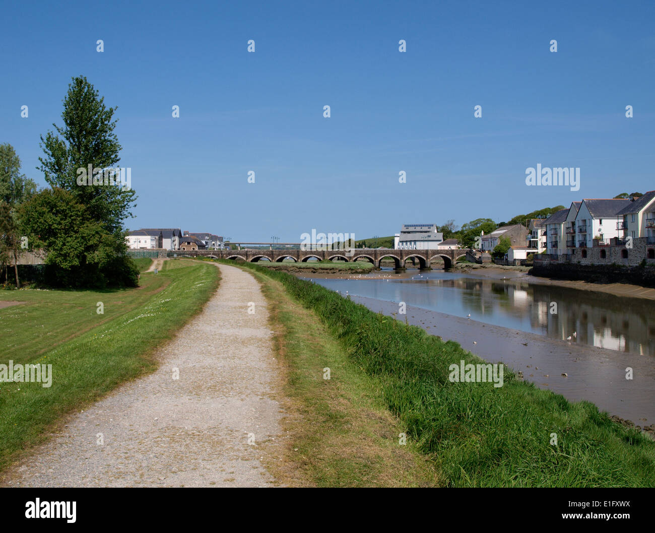 Il sentiero lungo la riva del fiume Camel a St Albans, Cornwall, Regno Unito Foto Stock