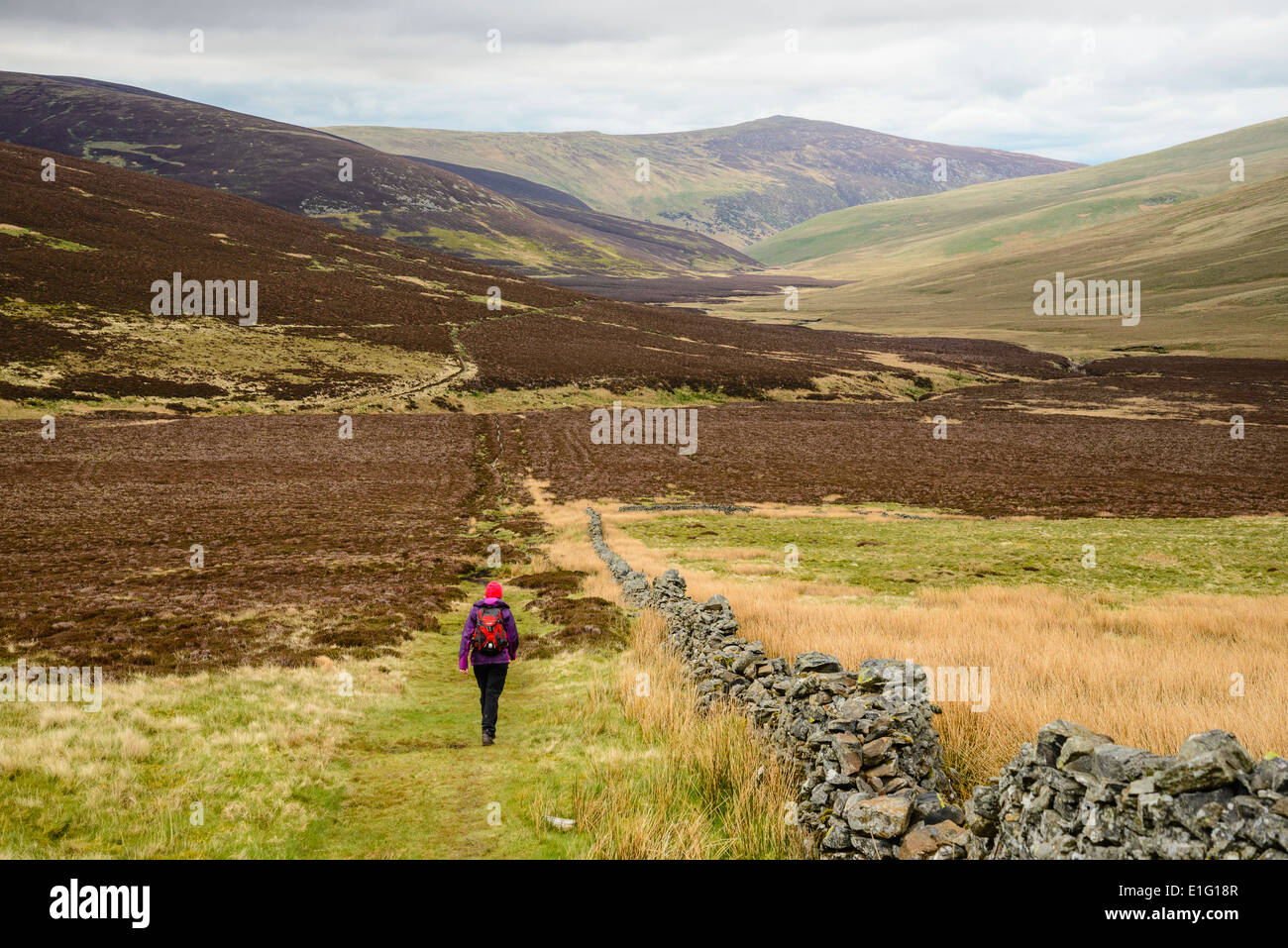 Walker per la Cumbria modo vicino Skiddaw casa in Northern fells del Distretto del Lago Foto Stock