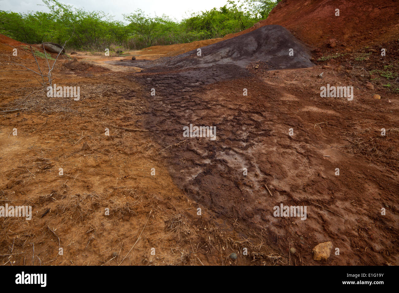 Suoli erosi in Sarigua national park, Herrera provincia, Repubblica di Panama. Foto Stock
