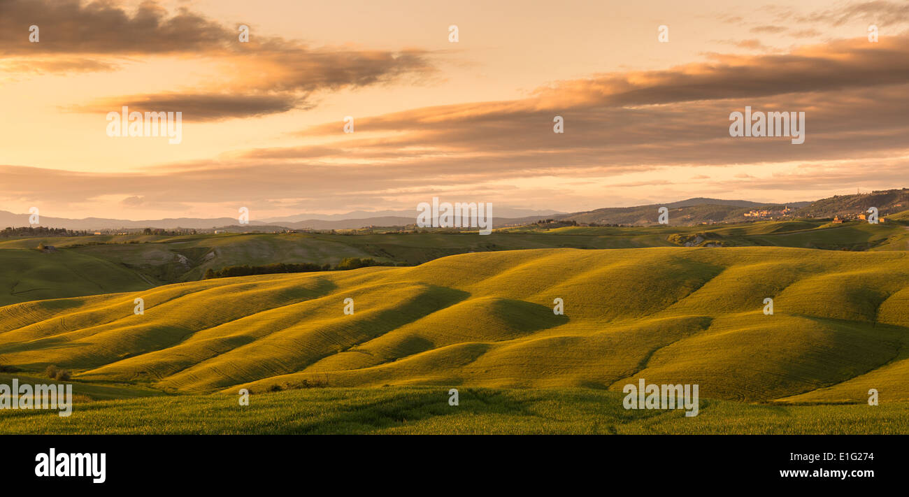 Sunrise, Dawn, paesaggio, Val d'Orcia, Toscana, Italia Foto Stock