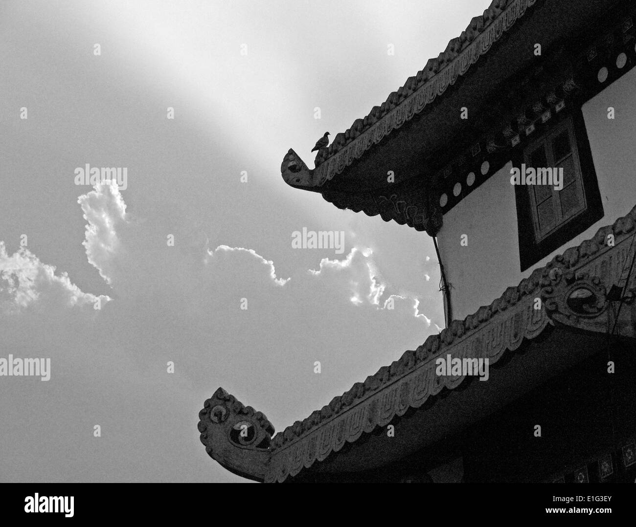 Dita di luce,Durpin monastero,il Sikkim,l'India Foto Stock