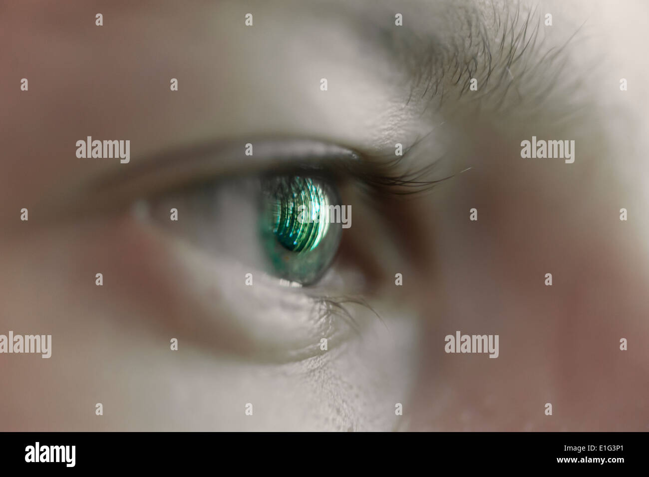 La riflessione di uno schermo di un computer in un occhio umano Foto Stock