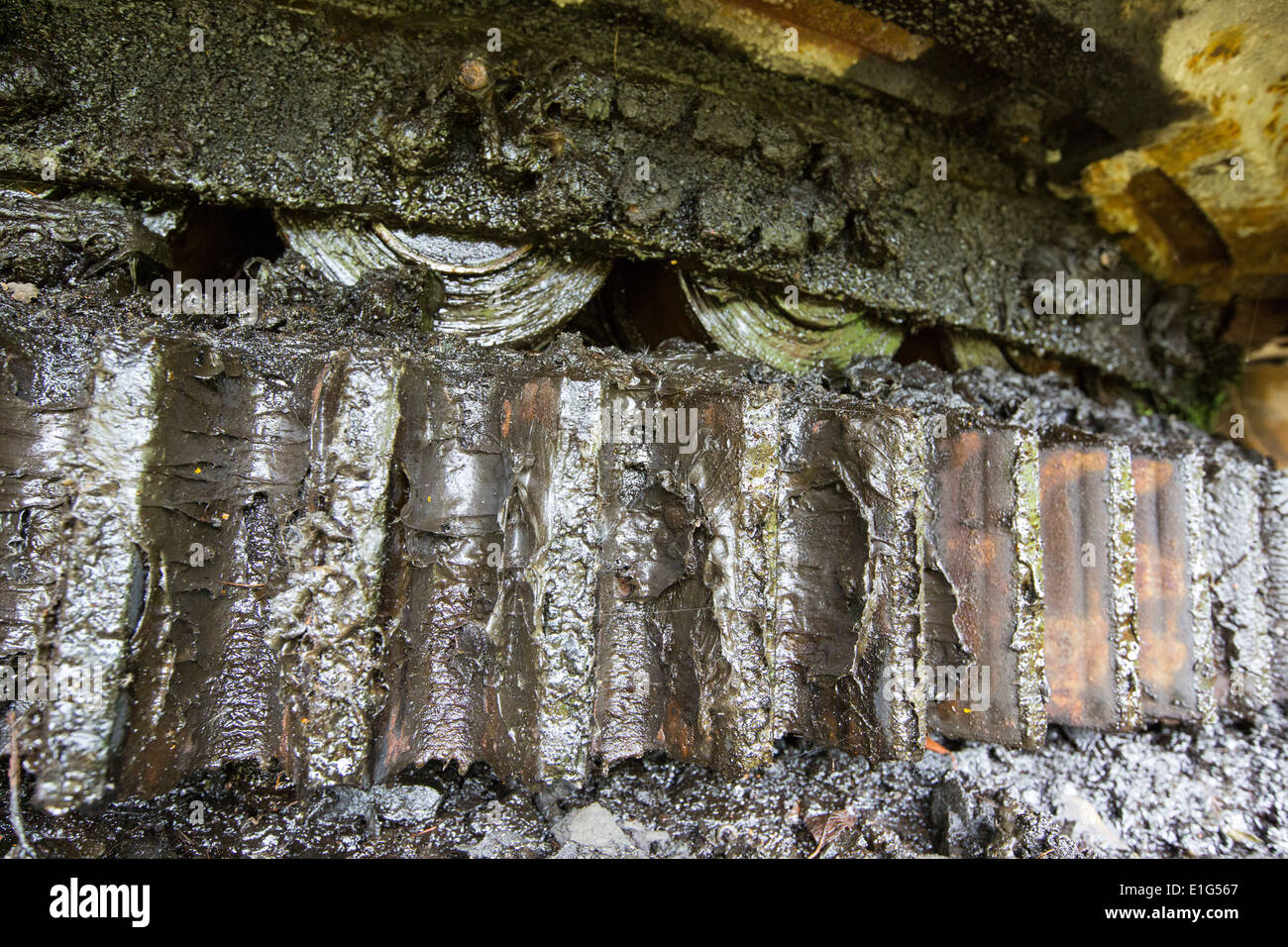 Una cremagliera e pignone che gira sulla piattaforma di un vecchio impianto macchina al Threlkeld mining museum, Lake District, UK. Foto Stock