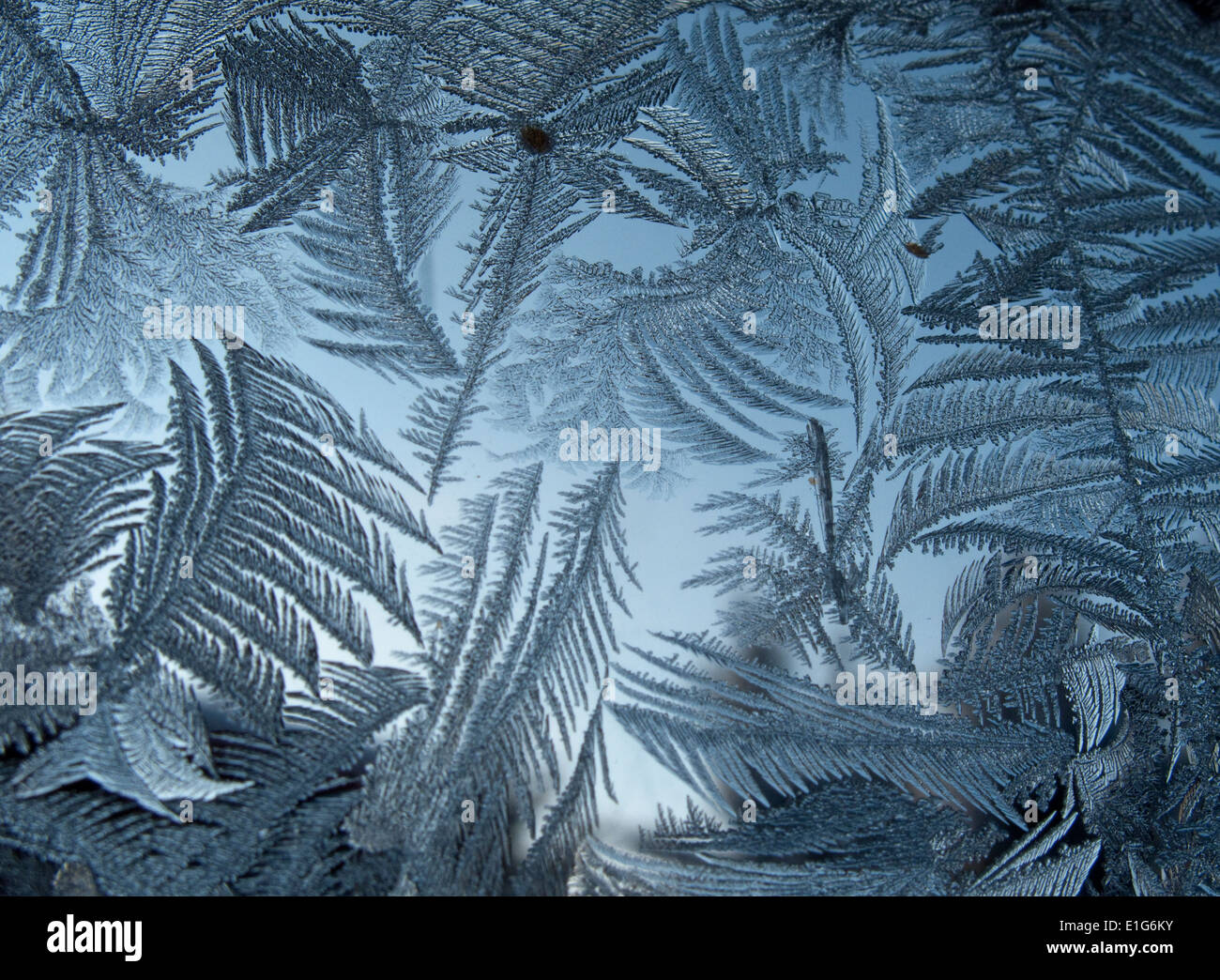 Modelli di brina su un freddo nel riquadro della finestra Foto Stock