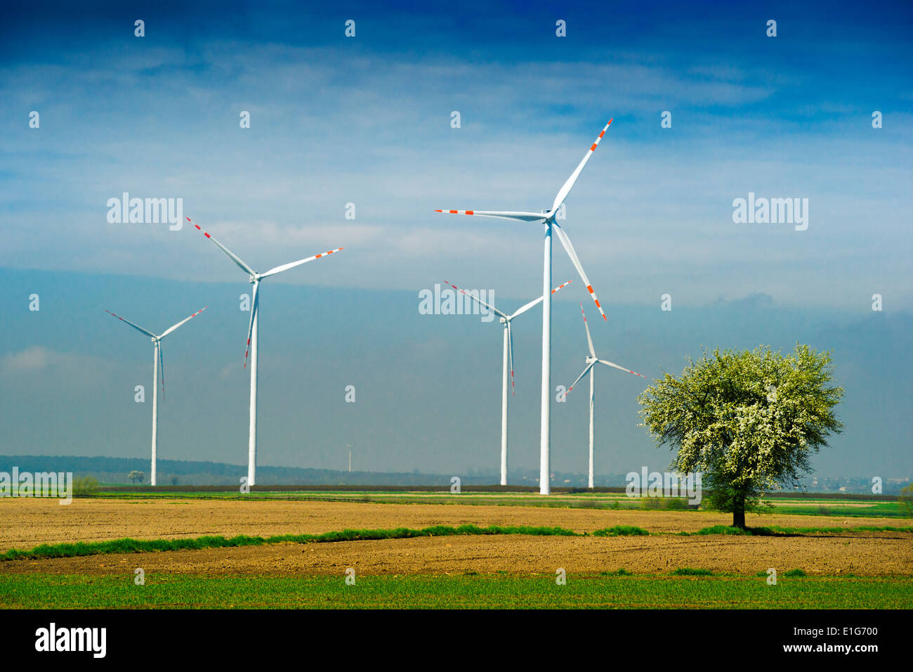 Turbina eolica (agriturismo, windpark, mulino elettrico) e un albero sul campo e cielo blu. Foto Stock