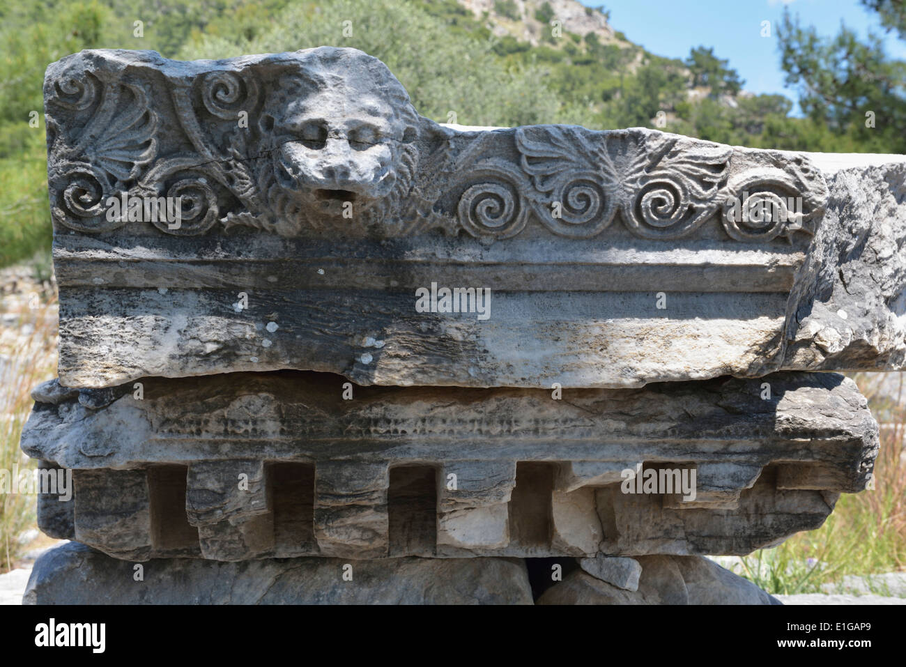 Lion di fronte la grondaia vicino al tempio di Esculapio, Priene,Turchia 140415_60705 Foto Stock