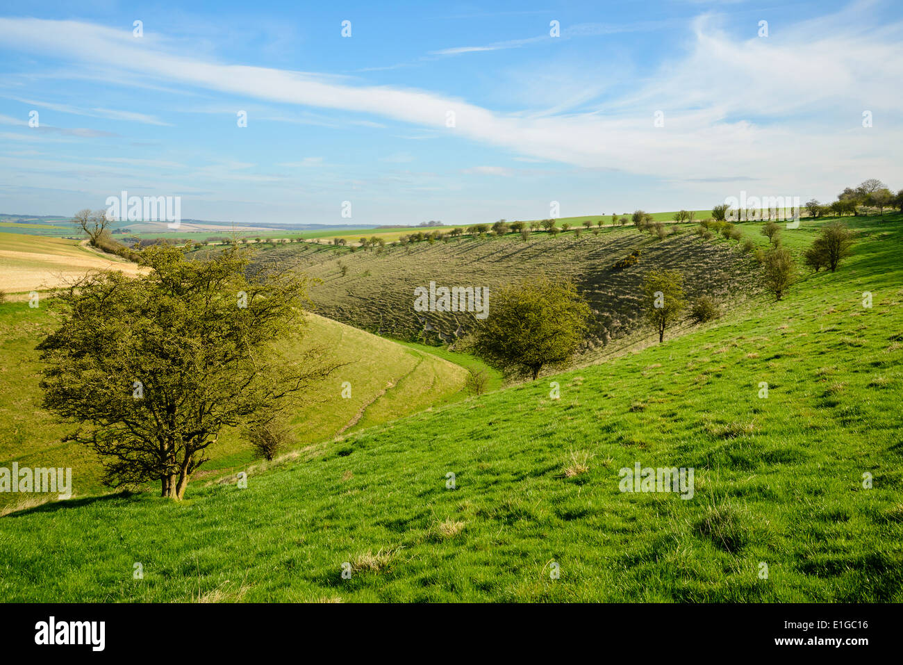 Affacciato sulla profonda Dale nel Yorkshire Wolds vicino Wharram Percy; una vista dalla Yorkshire Wolds Way National Trail Foto Stock