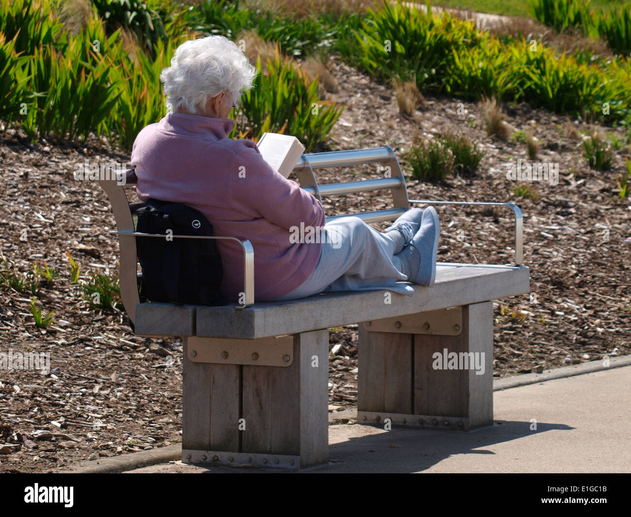 Senior Citizen rilassante su un banco di pubblica lettura di un libro, Condino, Devon, Regno Unito Foto Stock