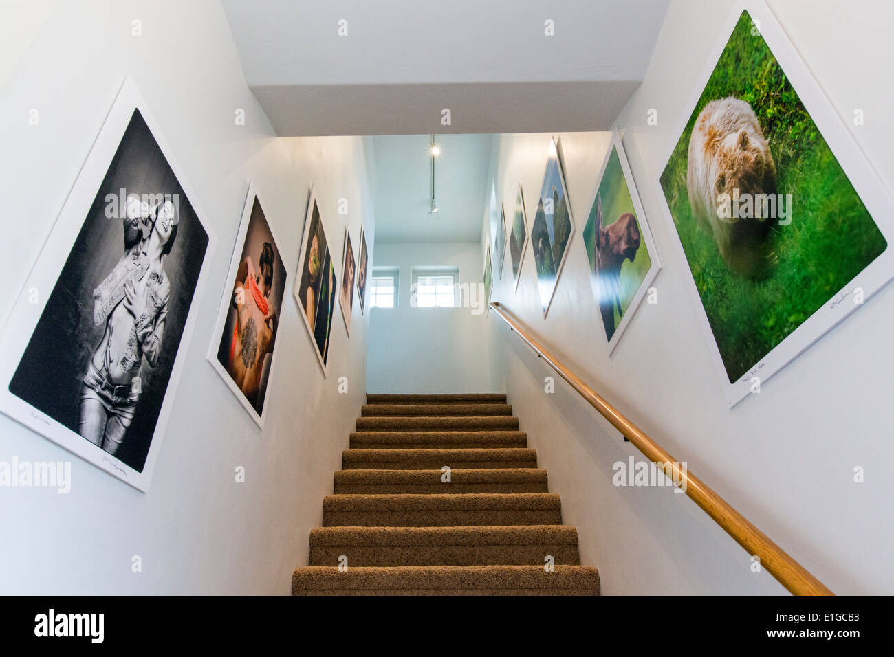 Ufficio scale decorate con arte Gicleé stampe fotografiche Foto Stock