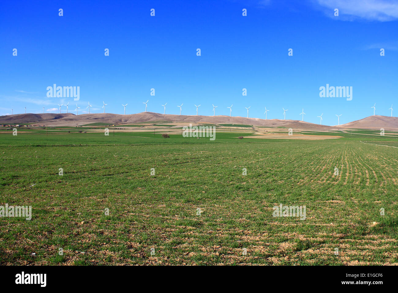 Il mulino a vento di generazione di energia alternativa Foto Stock