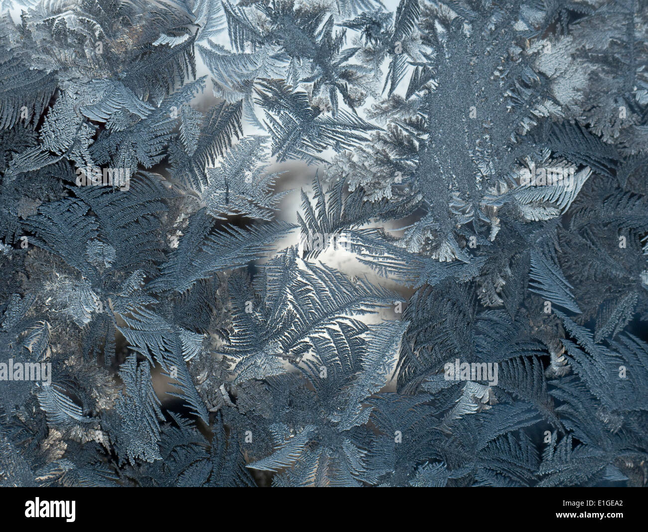 Modelli di brina su un freddo nel riquadro della finestra Foto Stock