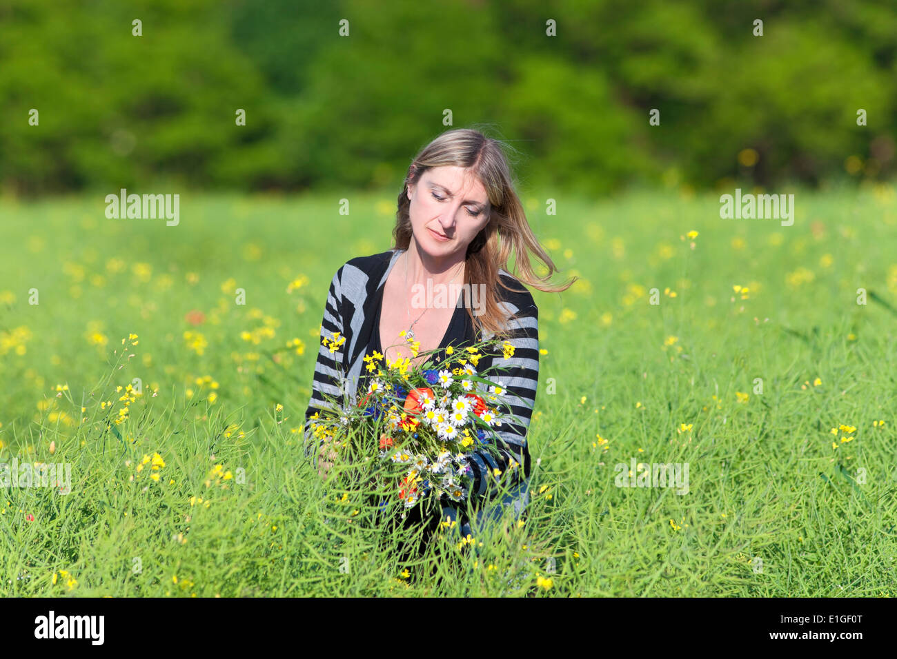 La donna la raccolta di fiori selvatici sul prato in primavera Foto Stock