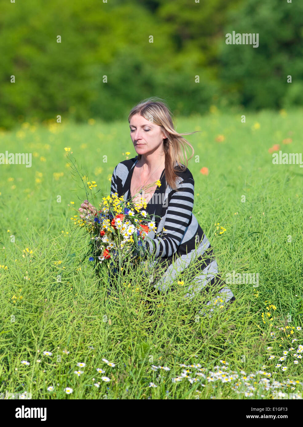 La donna la raccolta di fiori selvatici sul prato in primavera Foto Stock