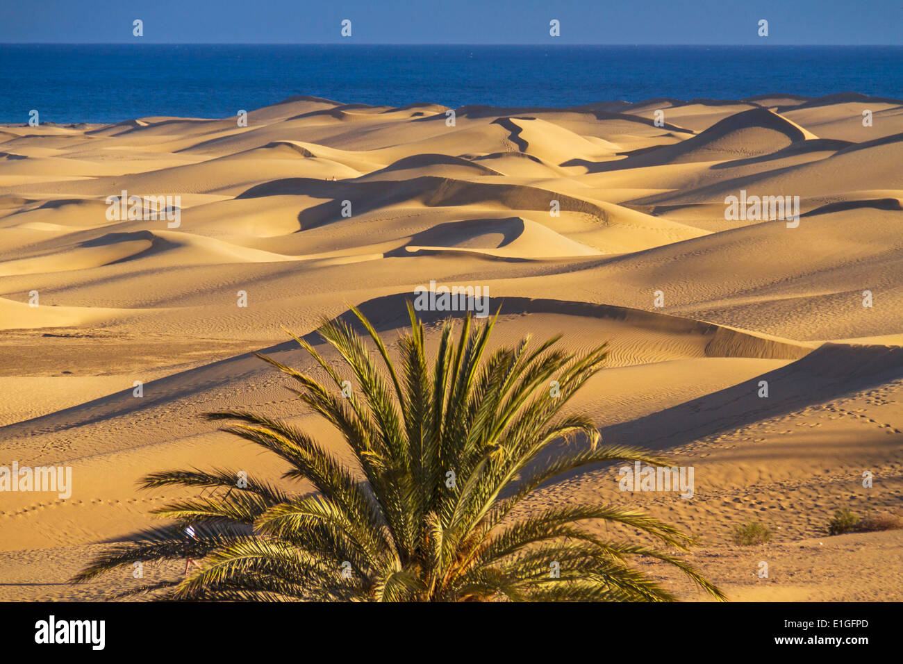 Le dune di Maspalomas Foto stock - Alamy