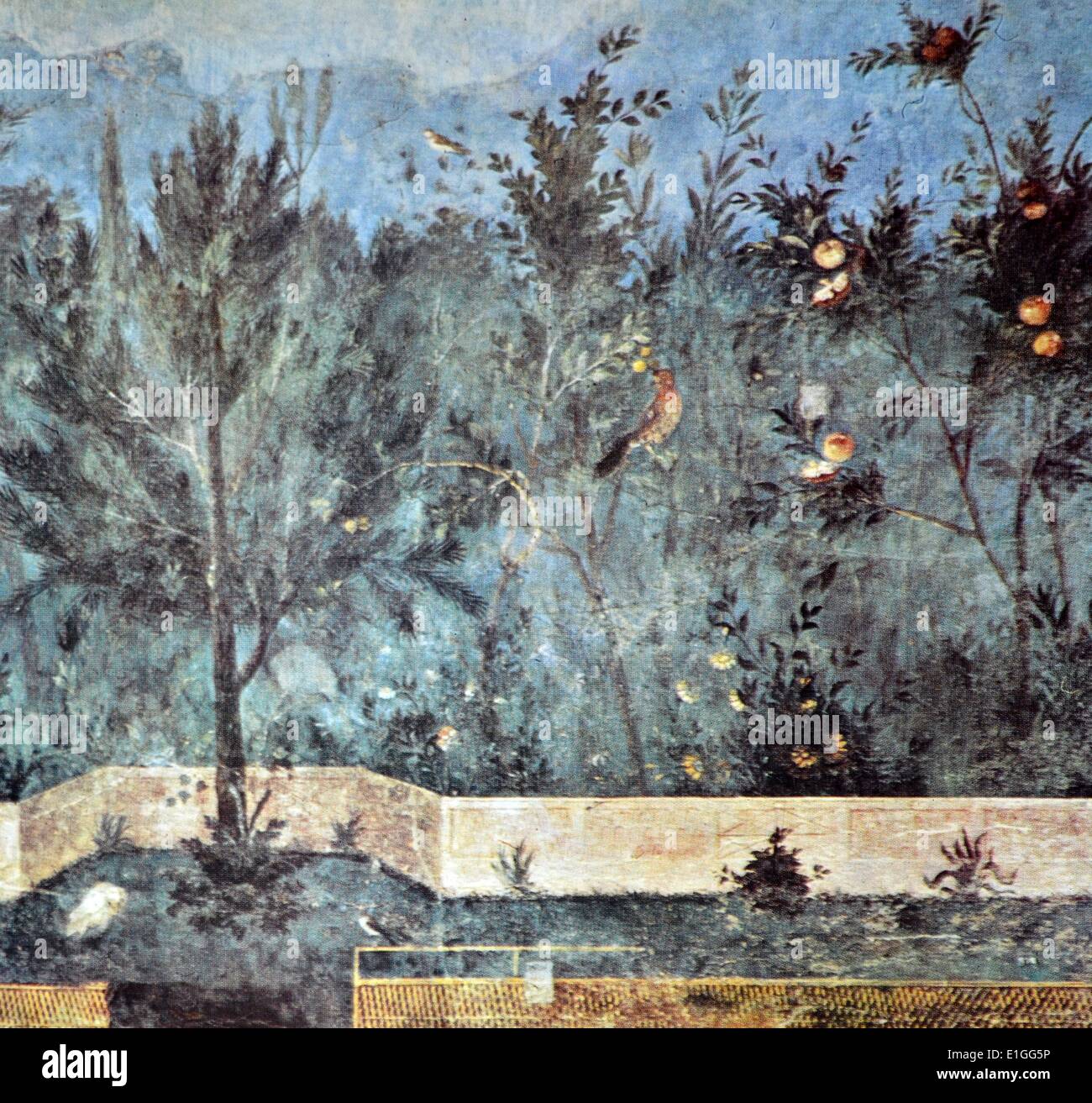 Muro Romano pittura intitolato il giardino di Livia. Scoperto a Prima Porta nei pressi di Roma. Datata xviii secolo. Foto Stock