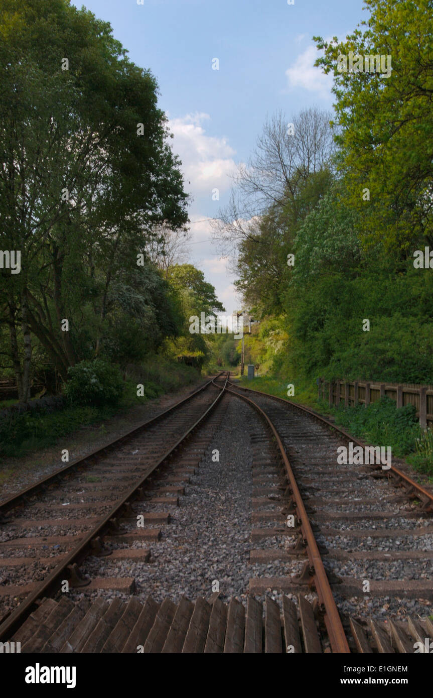 Binari ferroviari. Foto Stock