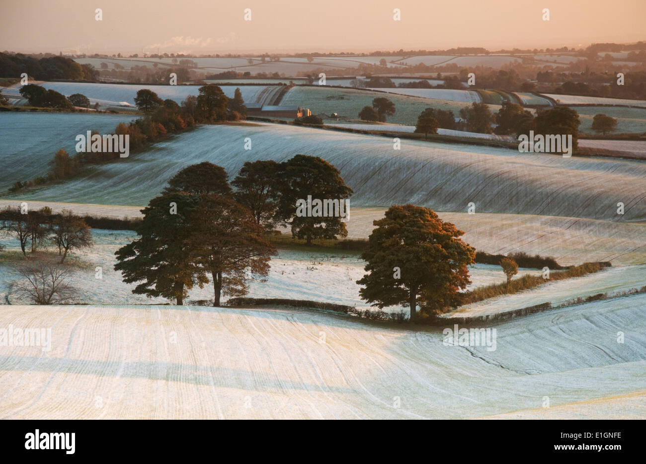 Inverno alba alla testa Dorket vicino Arnold nel Nottinghamshire, England Regno Unito Foto Stock