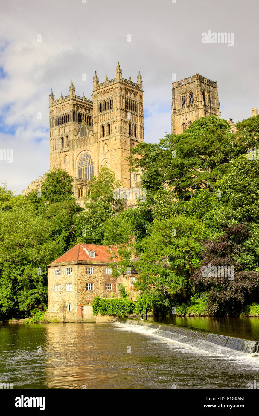 La Cattedrale di Durham e il vecchio mulino di follatura e si affaccia sul fiume usura, County Durham, Inghilterra. Foto Stock