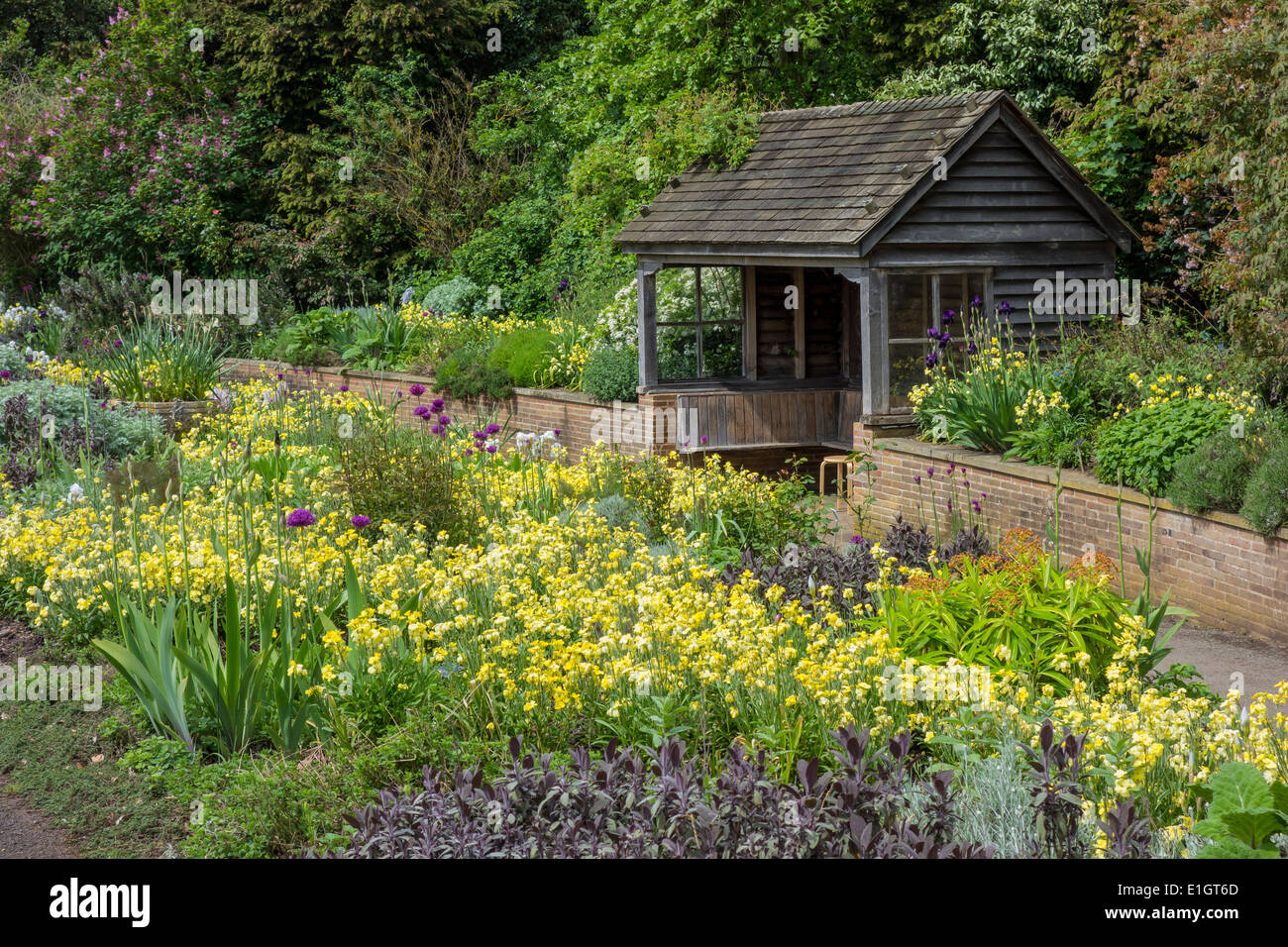 Giardino Shelter Cambridge Botanic Gardens in primavera Foto Stock