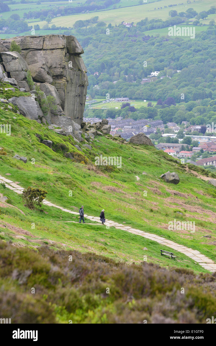 Vacca e vitello di roccia su Ilkley Moor West Yorkshire England Regno Unito Foto Stock