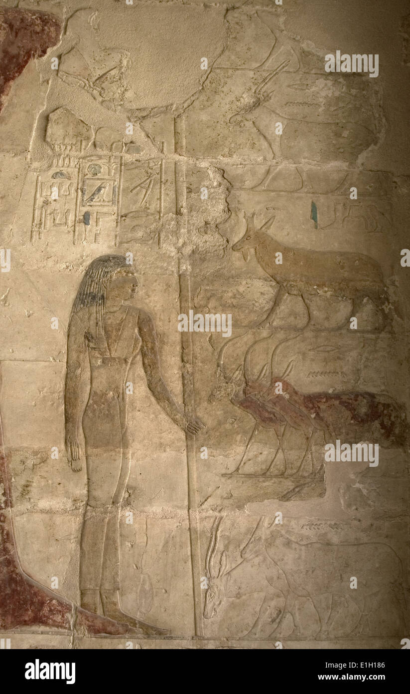 L'Egitto. Mastaba di Nefer e Kahay. Rilievo raffigurante una figura femminile in piedi con una canna accanto ad alcuni animali. V dinastia. Foto Stock