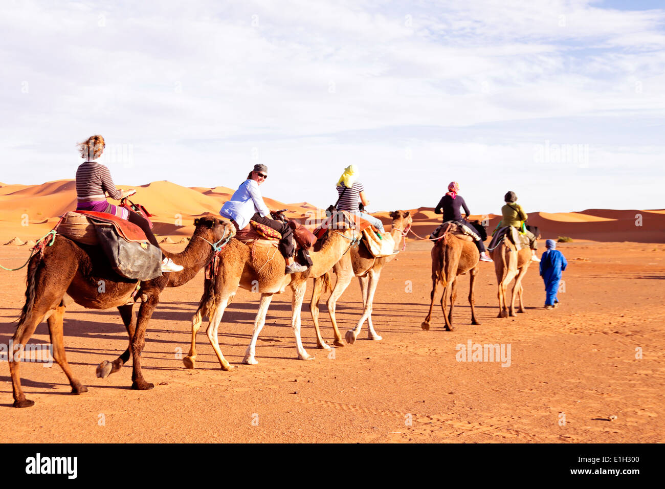Camel caravan andando attraverso le dune di sabbia nel deserto del Sahara, Marocco Foto Stock