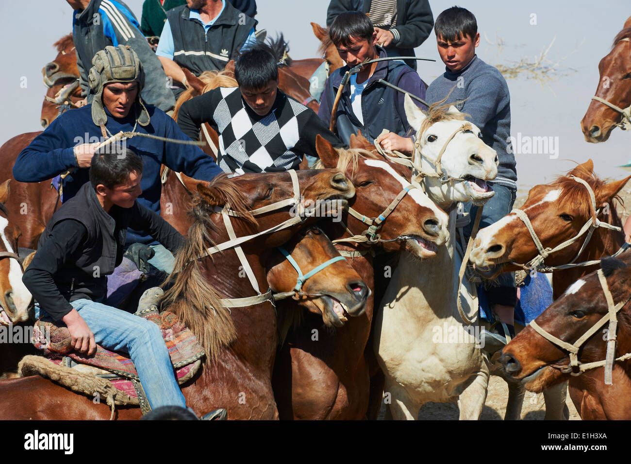 Uzbekistan, Karchi, Norouz festival di primavera, Buzkashi, cavalieri lotta per un corpo di carne di vitello Foto Stock