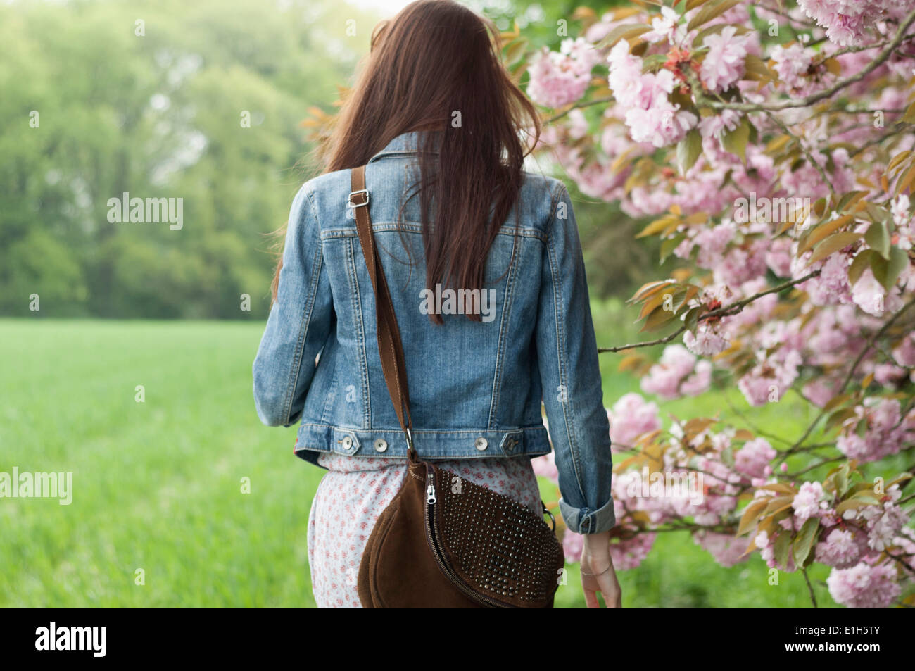 Vista posteriore del giovane donna passeggiando nel campo Foto Stock