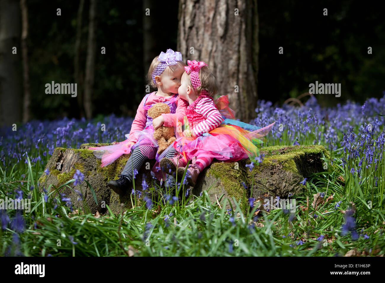 Due ragazze in rosa abiti da fiaba, kissing innocentemente mentre seduto su un ceppo di albero in un bosco inglese in primavera. Foto Stock