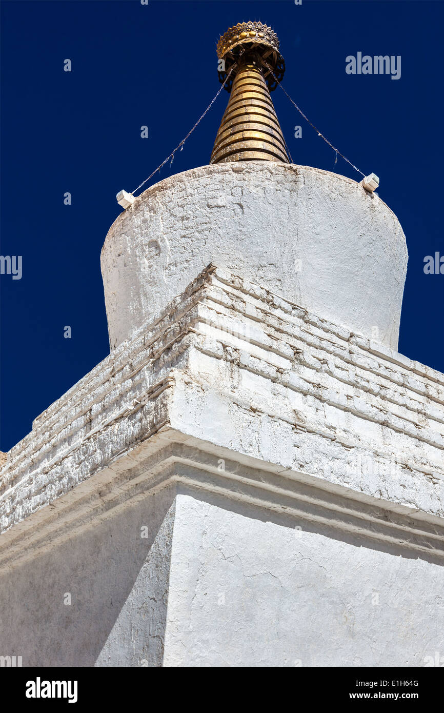 Chorten (stupa buddisti). Ladakh, India Foto Stock