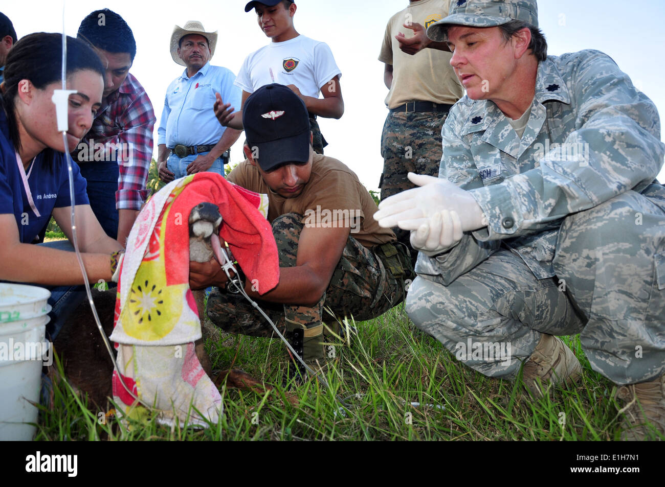 Stati Uniti Air Force Lt. Col. Tammy A. Von Busch, a destra, un pubblico ufficiale sanitario e veterinario assegnato ad alta velocità nave Swift Foto Stock