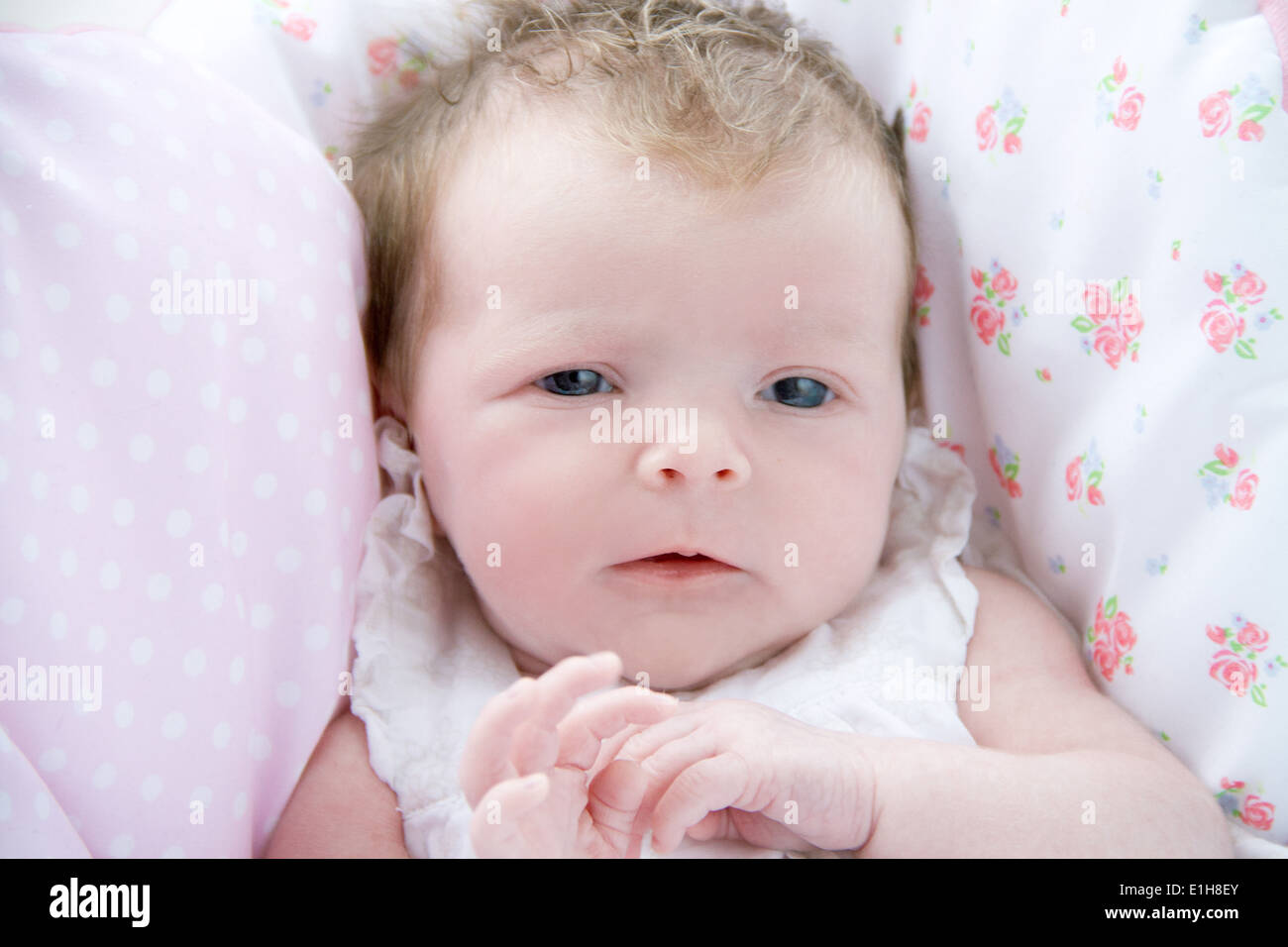 Close up Baby girl Foto Stock