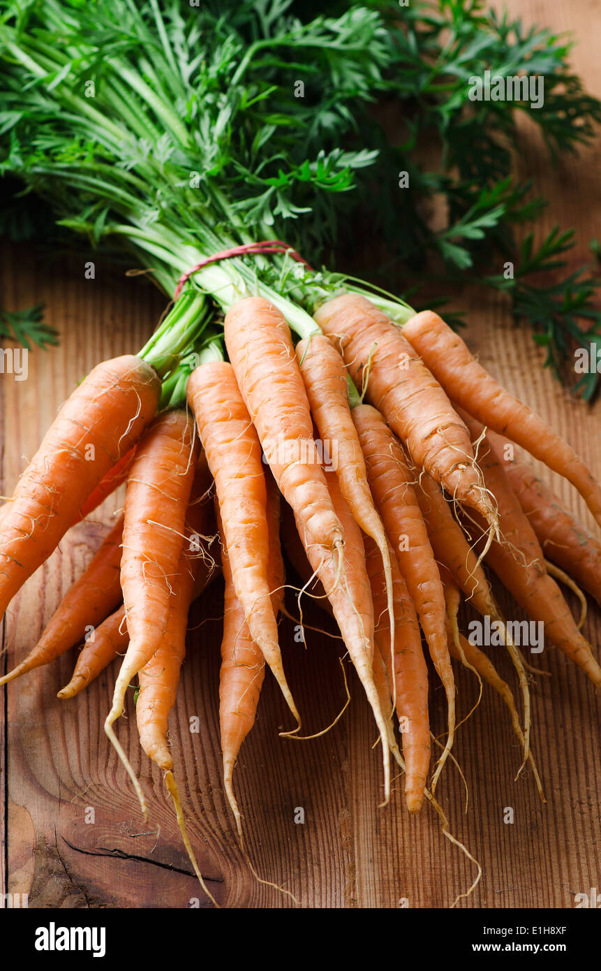 Mazzo di carote fresche con gambi verdi Foto Stock