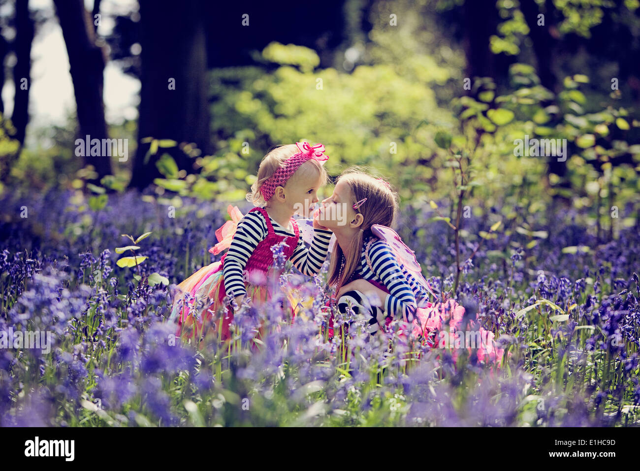 Due bambine in abiti di fata baciare innocentemente in un bosco inglese circondato da bluebells in primavera. Foto Stock