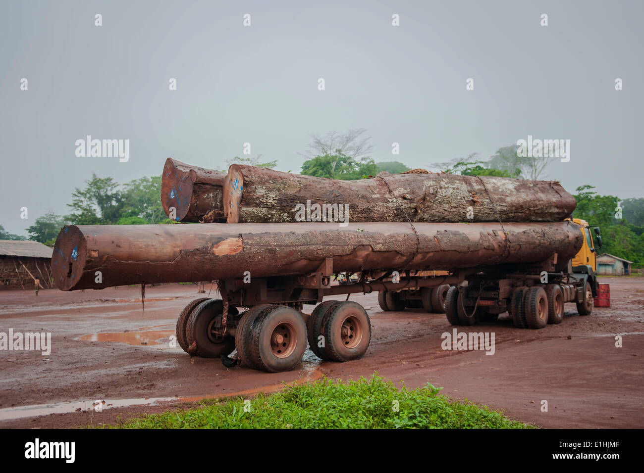 Legni tropicali su un carrello, Gouméla, Regione Est, Camerun Foto Stock
