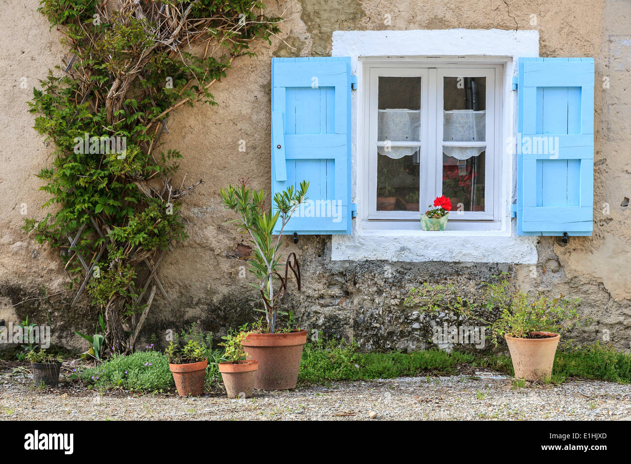 Finestra con persiane in blu chiaro e di piante in vaso, Prébois, Isère, Rhône-Alpes, in Francia Foto Stock