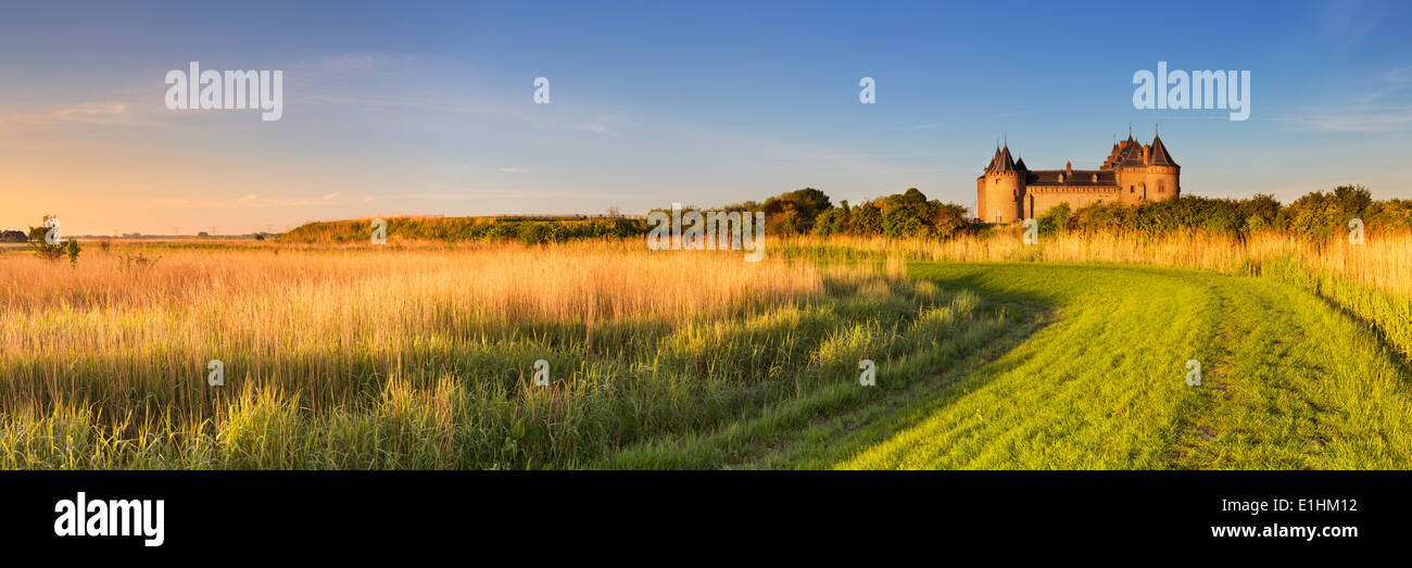 Panorama del castello medievale di sunrise Foto Stock